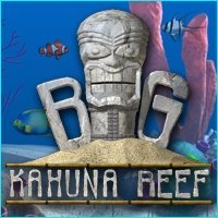 big kahuna video game