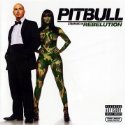 pitbull music cd